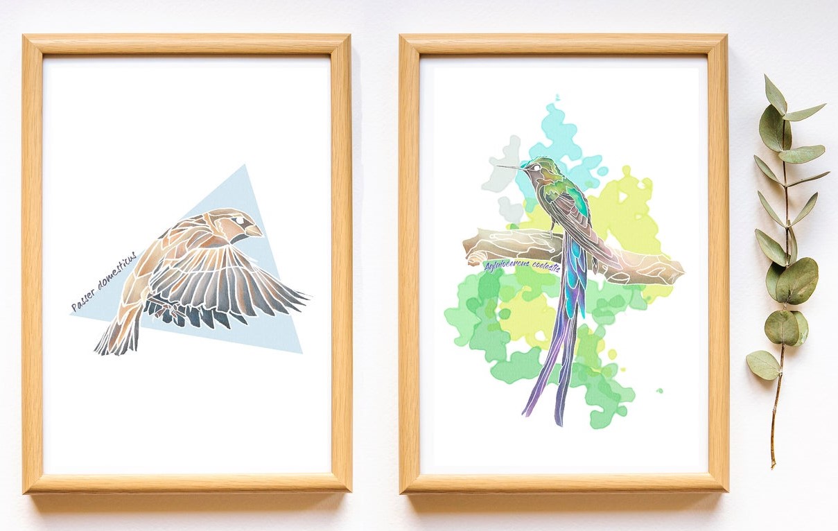 A5 print bird ornithology watercolour-inspired designs by aquacletas 